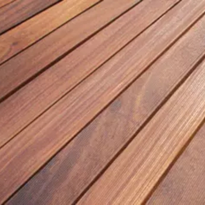 Dizajn bez naslova (52)(1)