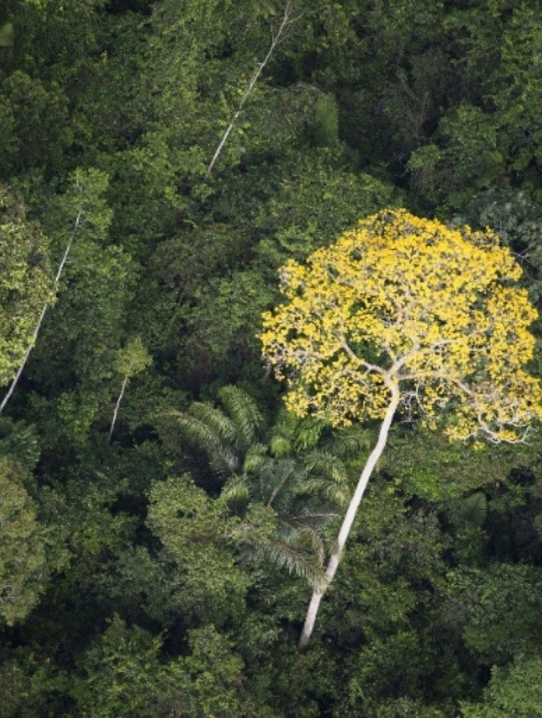 Dizajn bez naslova (54)(1)