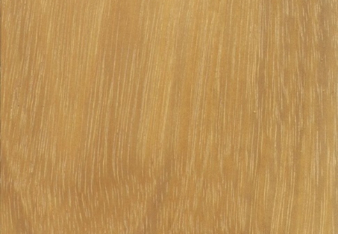 Dizajn bez naslova (80)(1)